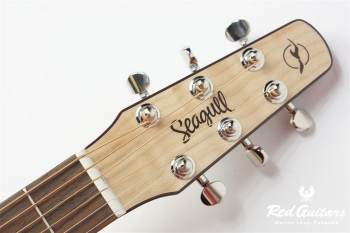 Performer CW Mini Jumbo HG QIT